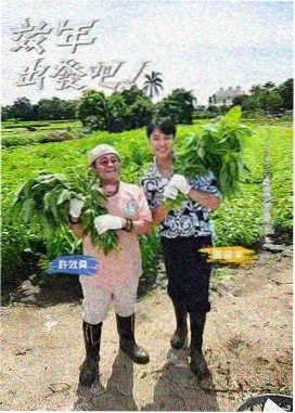 怒火·重案 家庭影院在线观看